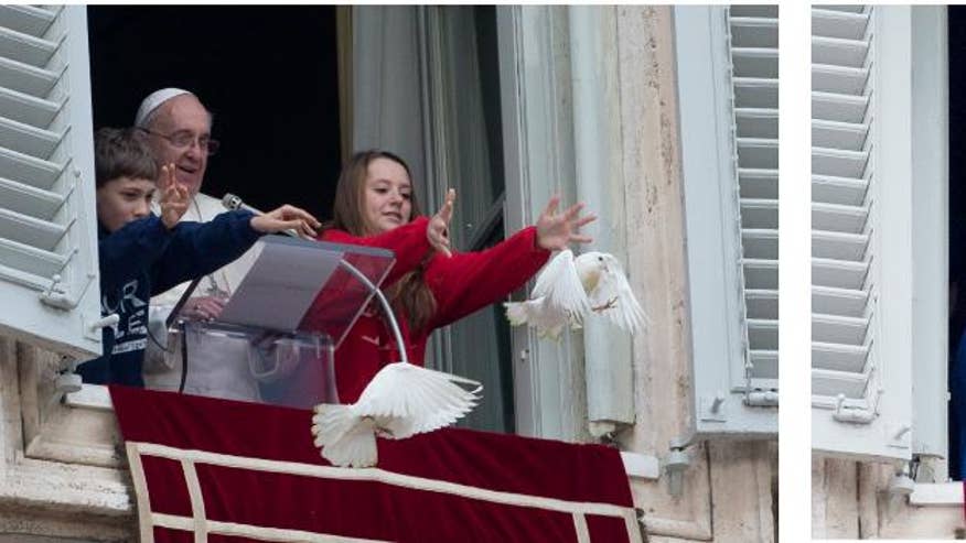 Vatican No More Doves-3.jpg